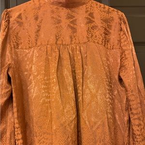 Large women blouse brand express